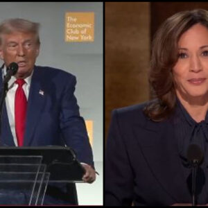 Donald Trump or Kamala Harris