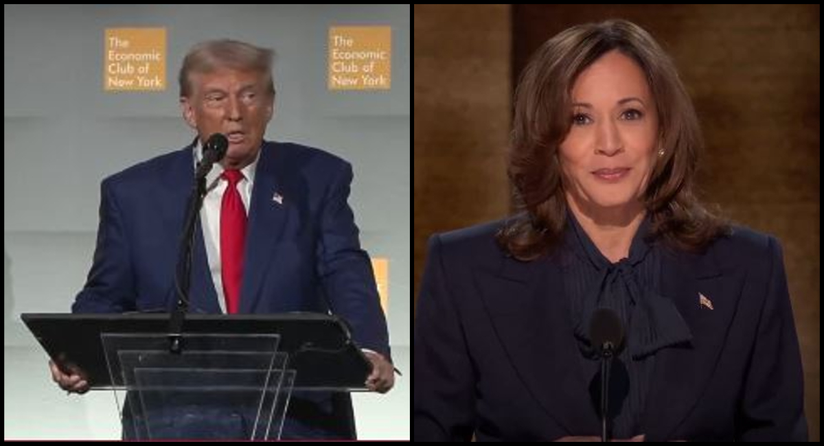 Donald Trump or Kamala Harris