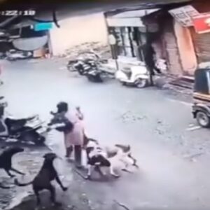 दिल्ली में कुत्तों का आतंक (Video Grab)