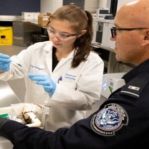 How does fentanyl trafficking work