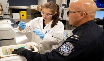 How does fentanyl trafficking work