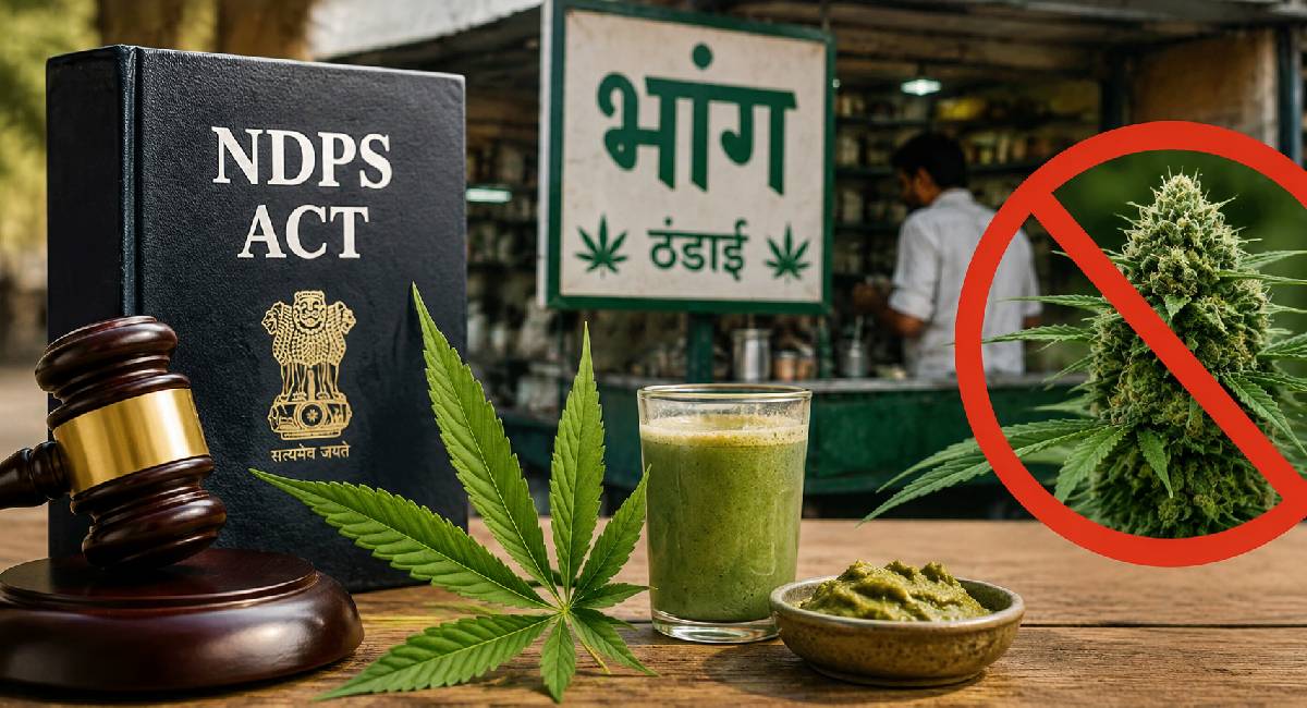 Bhang vs Ganja: भारत में गांजा प्रतिबंधित तो क्यों खुले में मिलता है भांग?