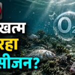 क्या धरती के पानी से खत्म हो रहा 'Oxygen'? वैज्ञानिकों ने दी बड़ी चेतावनी