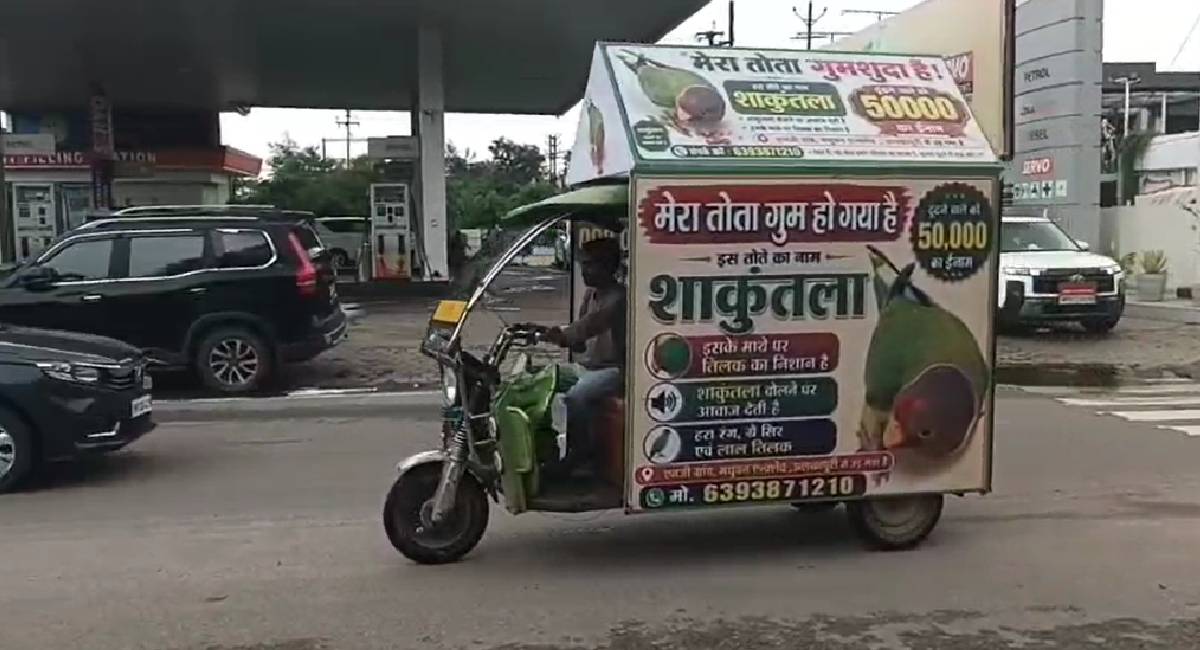 ग्वालियर: तोता के लिए सर्च अभियान, पता लगाने वाले को मिलेगा 50 हजार का ईनाम