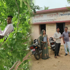 टीकमगढ़ में ऑनलाइन हाजिरी के लिए पेड़ पर चढ़े शिक्षक